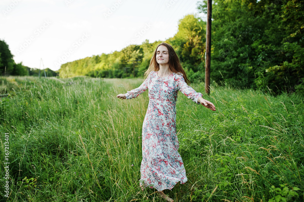 Portrait of a fabulous young woman in dress walking in the tall grass. Portrait of a fabulous young woman in dress walking in the tall grass.