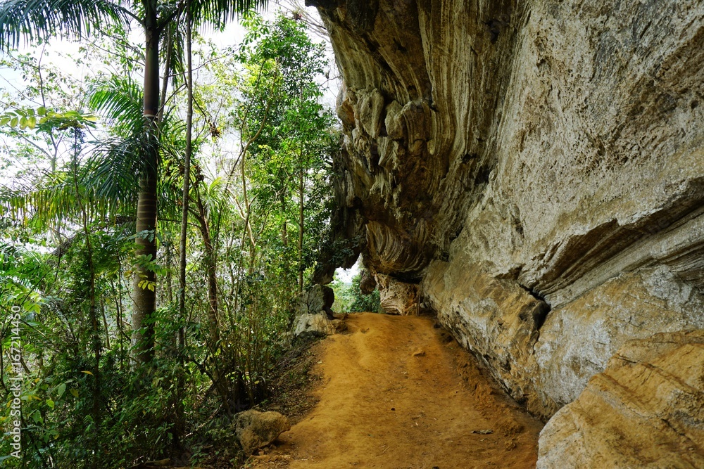 im Regenwald auf Kuba bei Trinidad, Karibik im Regenwald auf Kuba bei Trinidad, Karibik