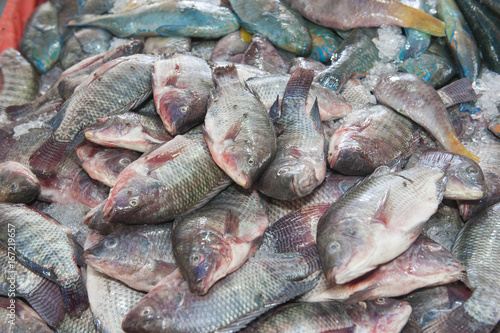 Collection of fish on display in traditional open air market