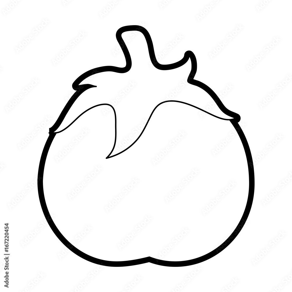 tomato vector illustration tomato vector illustration