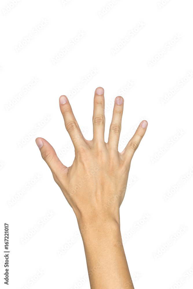 Man hand showing five count isolated on white background Man hand showing five count isolated on white background