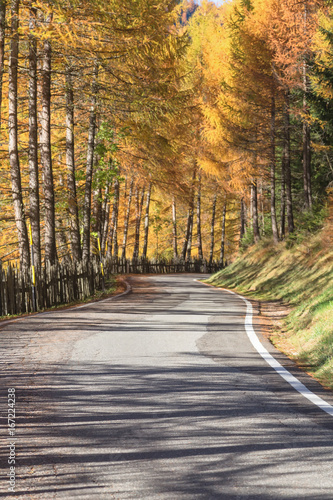 Autumn Road