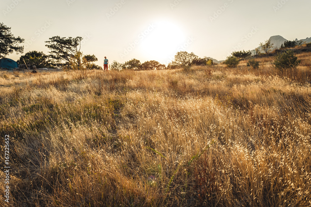 Obraz premium The sun rises above the meadow. A field of wheat in the rays of the setting sun. Sun in the fields. Trees on the horizon.
