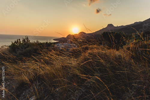 The sun rises above the meadow. A field of wheat in the rays of the setting sun. Sun in the fields. The sea is on the horizon. By the sea. Sunset at the sea.