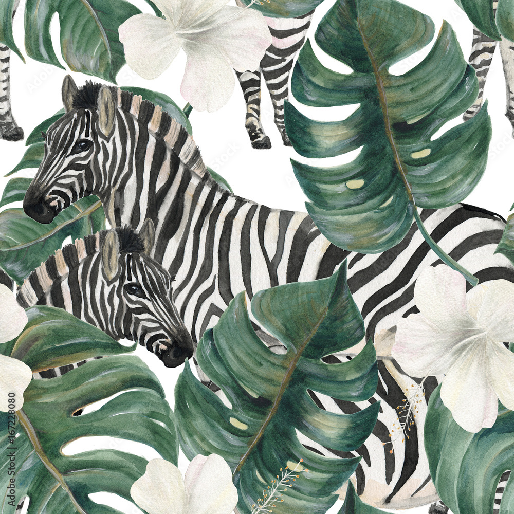 Obraz Akwarela maluje bezszwowego wzór z tropikalnymi deliciosa liśćmi, poślubników kwiatami i zebrą