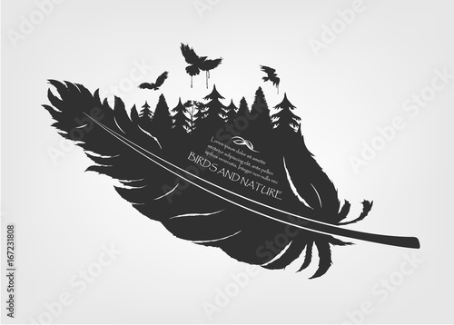 flying birds and forest in feather