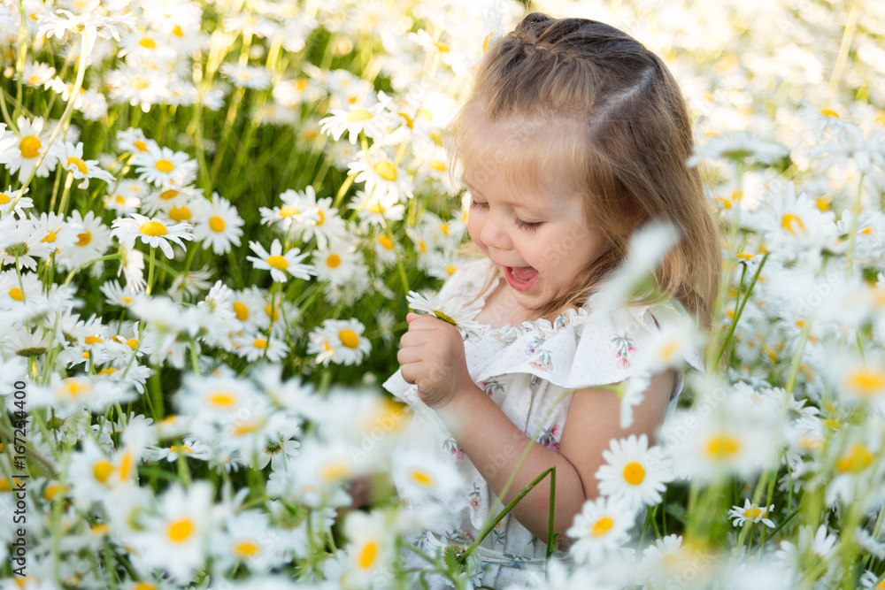 A little girl on a chamomile field A little girl on a chamomile field
