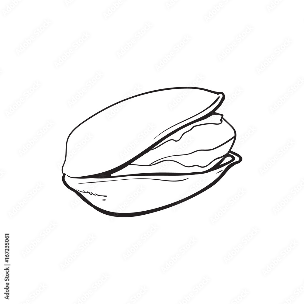 Single black and white pistachio nut, hand drawn sketch style vector illustration isolated on white background. Realistic hand drawing of pistachio nut, vegetarian snack Single black and white pistachio nut, hand drawn sketch style vector illustration isolated on white background. Realistic hand drawing of pistachio nut, vegetarian snack