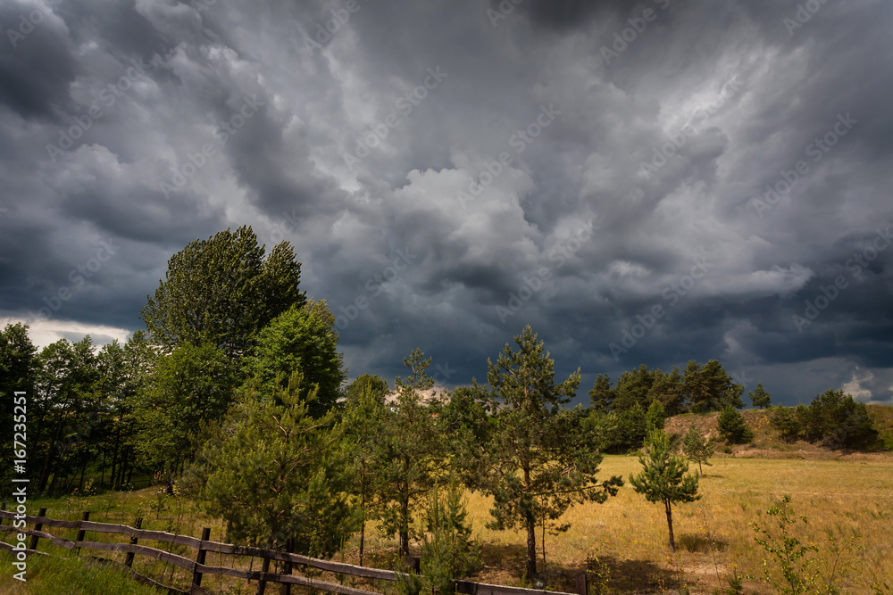 Stormy sky over meadow and trees