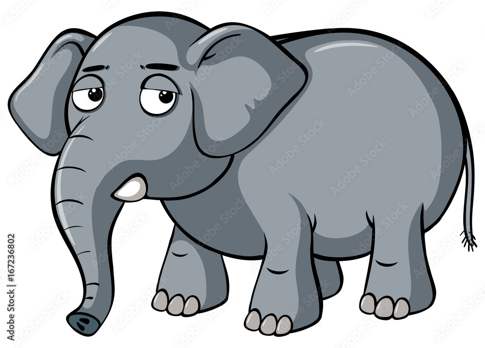 Sad elephant on white background