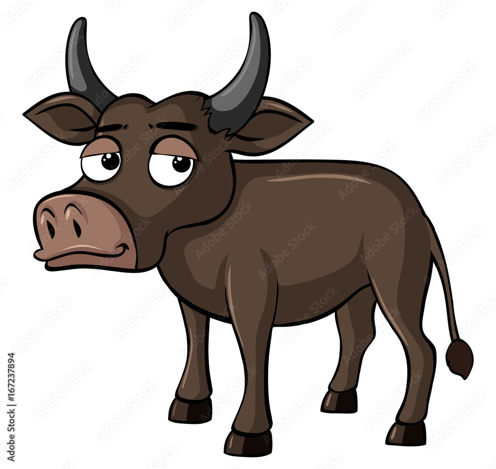 Brown buffalo with sleepy eyes
