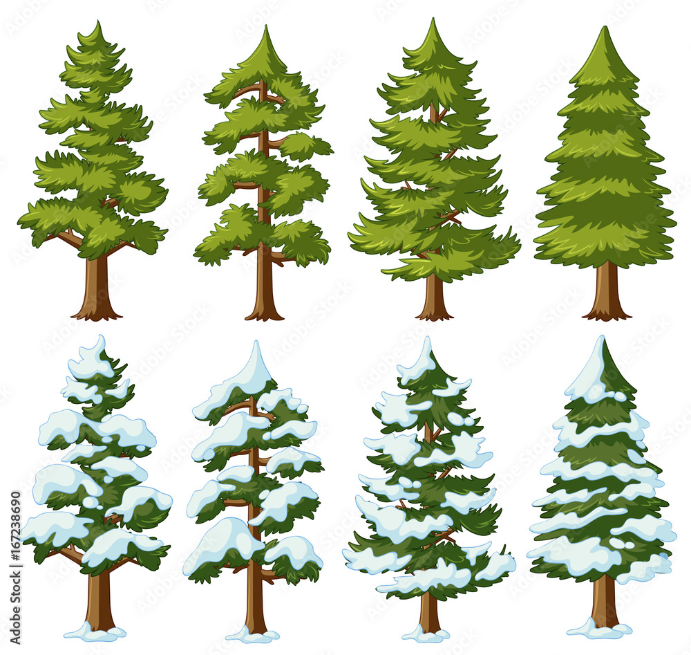 Different shapes of pine trees Stock Vector | Adobe Stock