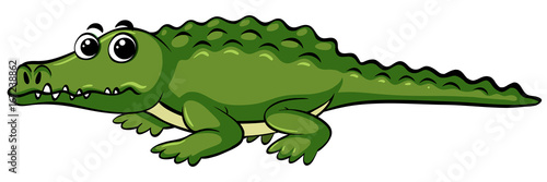 Wild crocodile with happy face