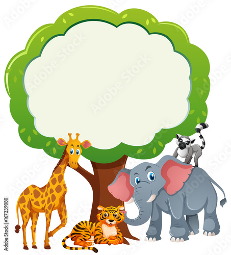 Border template with wild animals