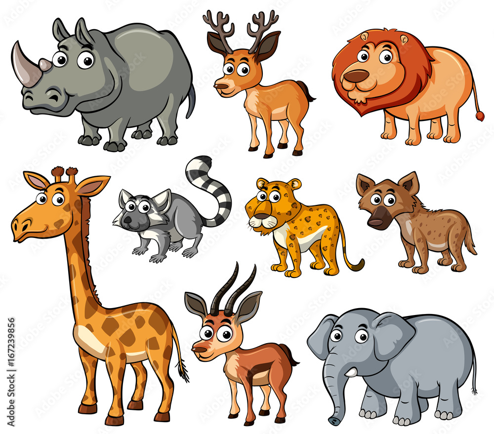 Fototapeta premium Different kinds of wild animals