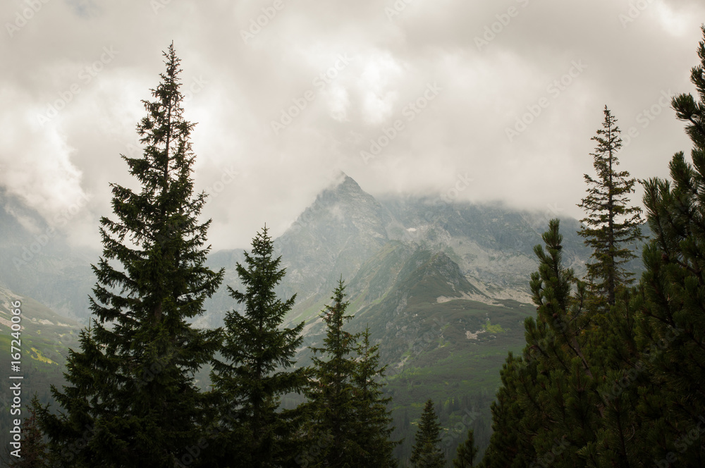 Tatry, Zakopane, Mountains, Poland