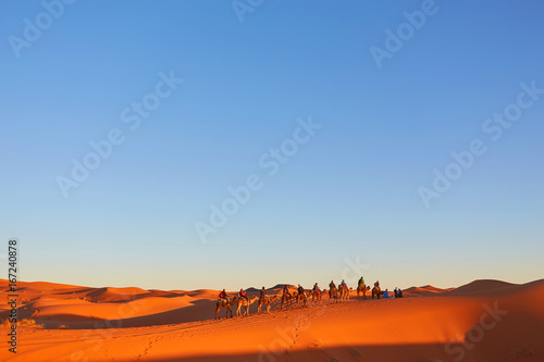 Caravan going through the sand dunes in the Sahara Desert