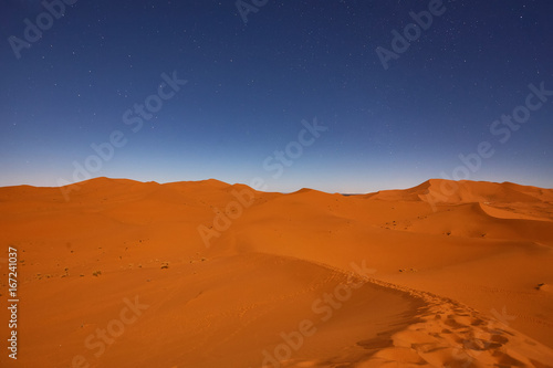Night in the desert