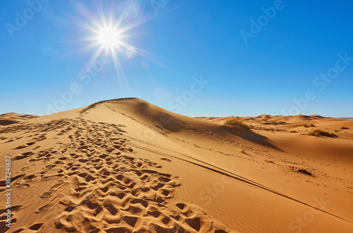 Beautiful sand dunes in the Sahara