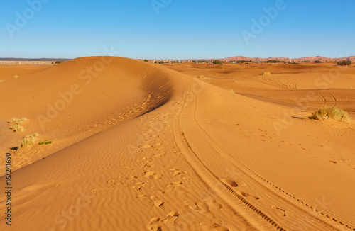 Sand dunes in the Sahara Desert  Morocco