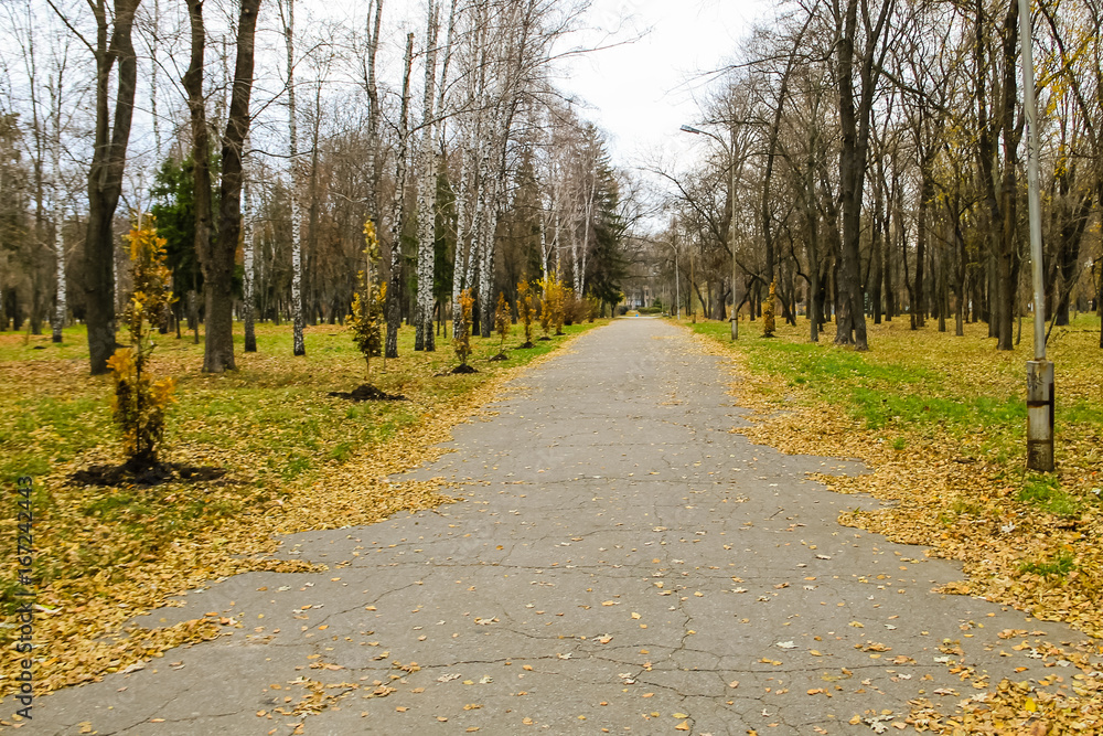 Alley in city park on autumn Alley in city park on autumn