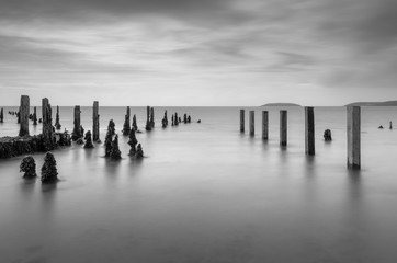 Tuinposter Zwart wit Pilmore Groynes kustlijn in zwart-wit  © dajh51