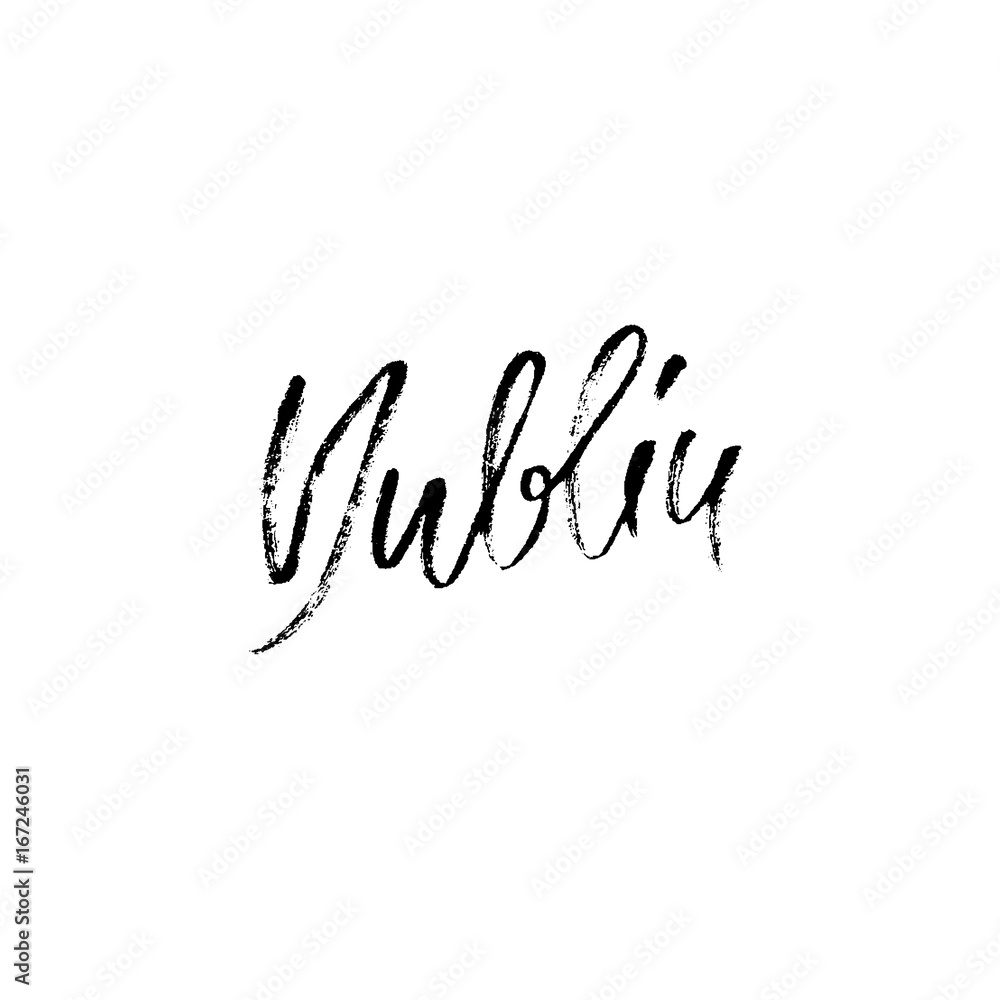 Fototapeta premium Dublin. City typography lettering design. Hand drawn modern dry brush calligraphy. Isolated vector illustration.
