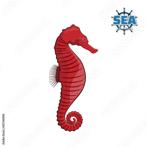 Sea horse on a white background in a cartoon style. Vector illustration