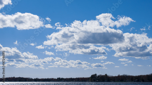 Foto Blue Sky on a Spring Day
