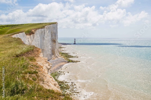 Seven Sisters National Park, view of the white cliffs and beech , East Sussex, England