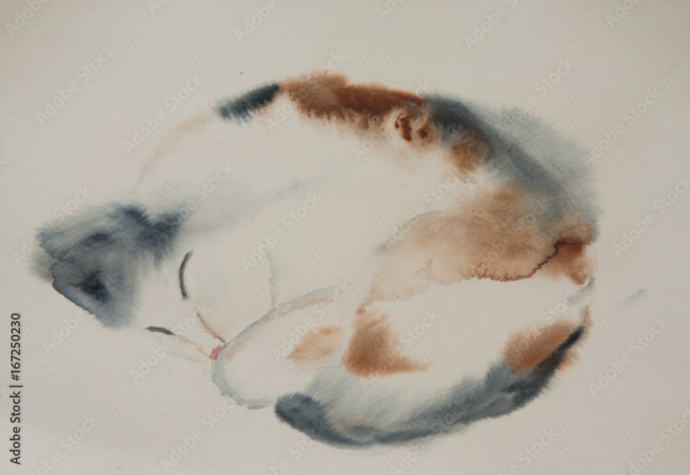 Cat sleeping so cute, animal art, watercolor painting , can be used for home decorate
