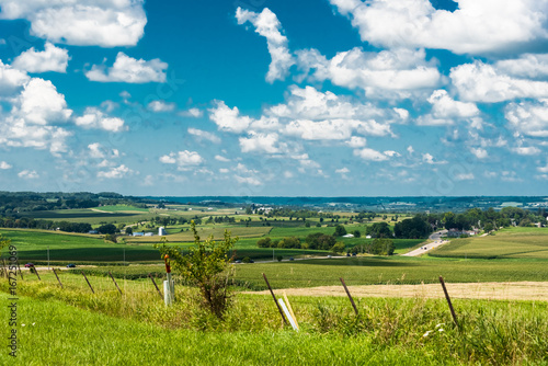Fotografia, Obraz View of a field in Illinois country side