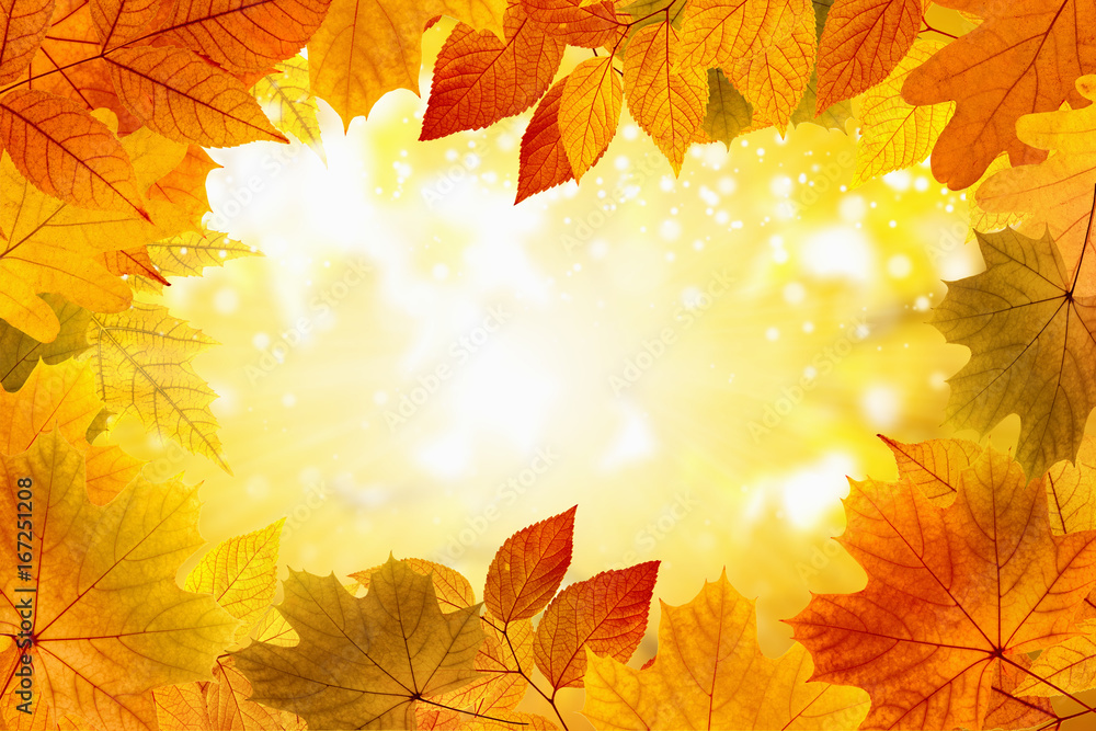 Beautiful fall background Beautiful fall background