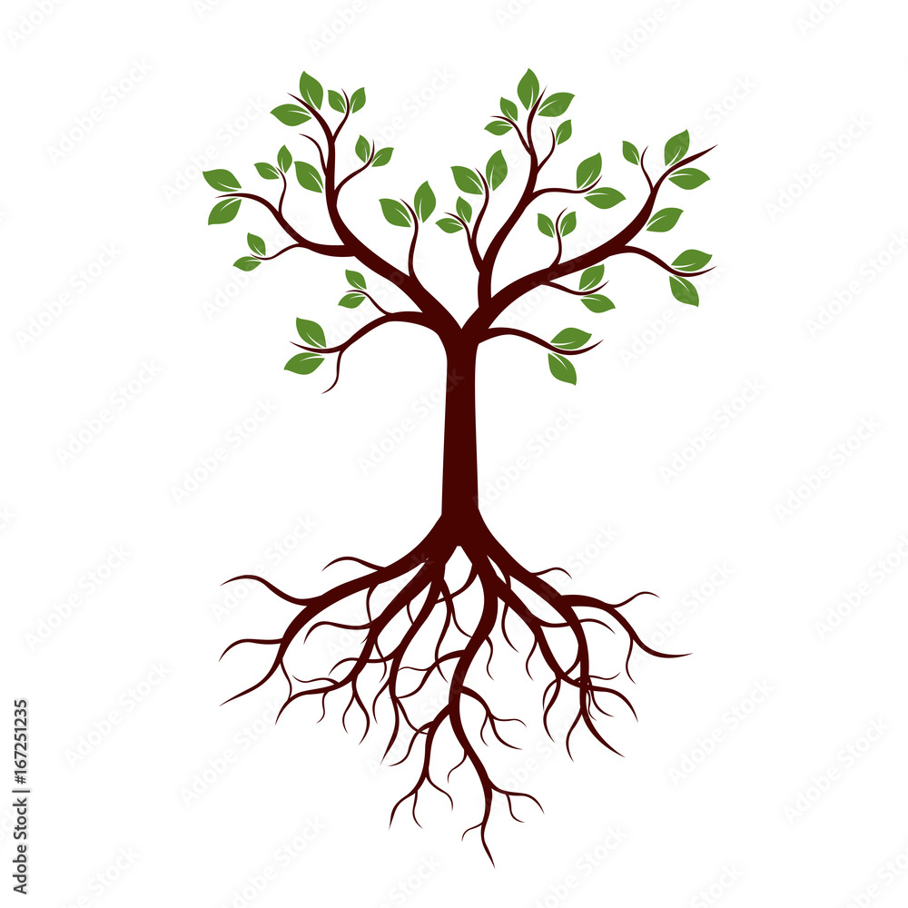 Fototapeta premium Summer Tree. Vector Illustration.
