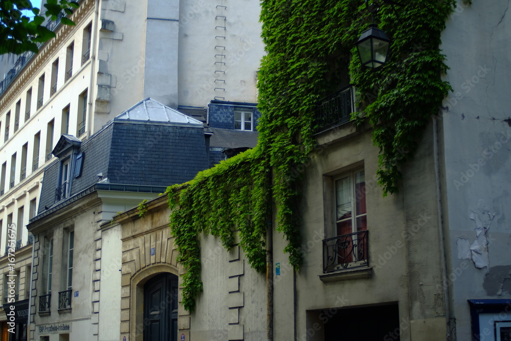 Obraz premium Coin de la rue à Paris, France