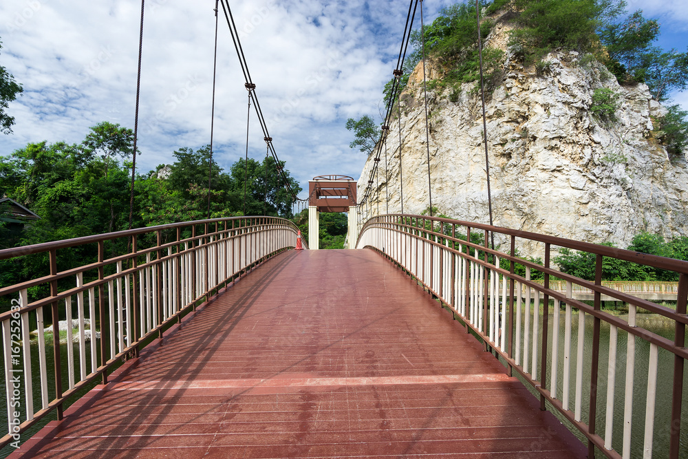 Obraz premium Snake Park Bridge