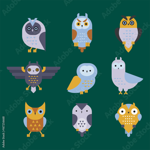 Cartoon owl bird cute character symbol sleep sweet owlet vector illustration.