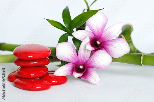 galets rouge disposés en mode de vie zen avec deux orchidées bicolore sur le coté droit des bambou torsadé posé à l'arrière le tout sur fond blanc
