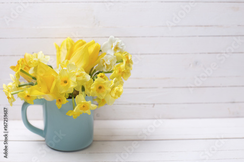 Bright yellow spring daffodils flowers in cup