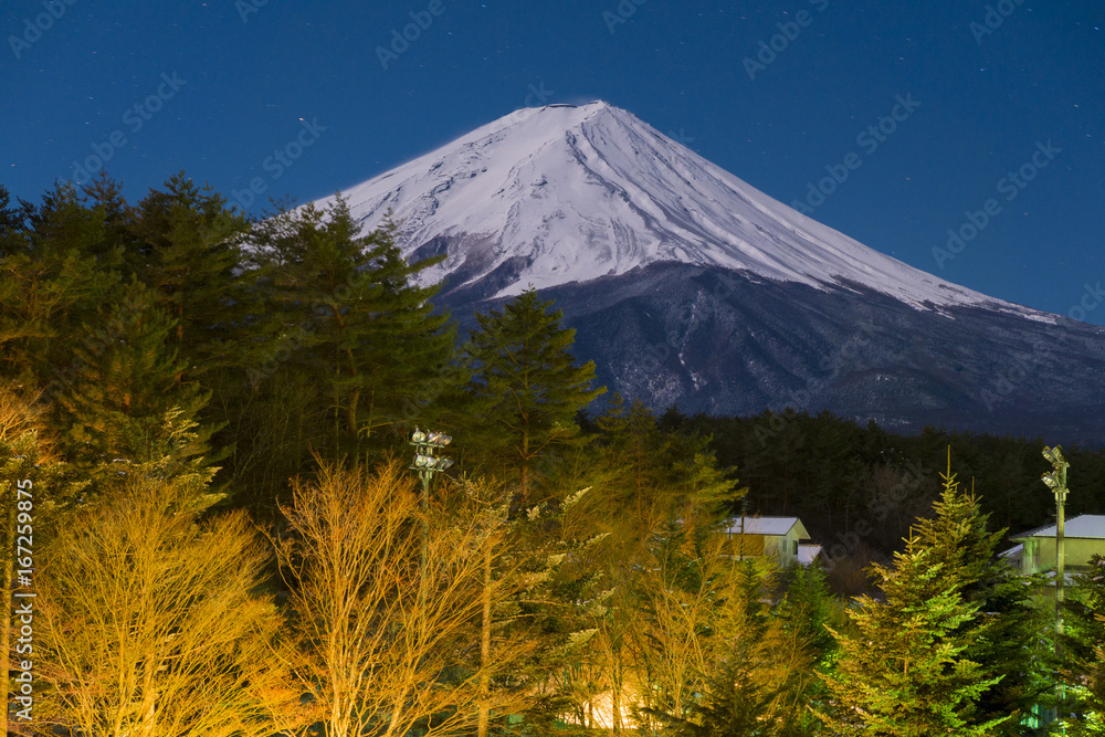 Mt. Fuji at night with forest and village view.