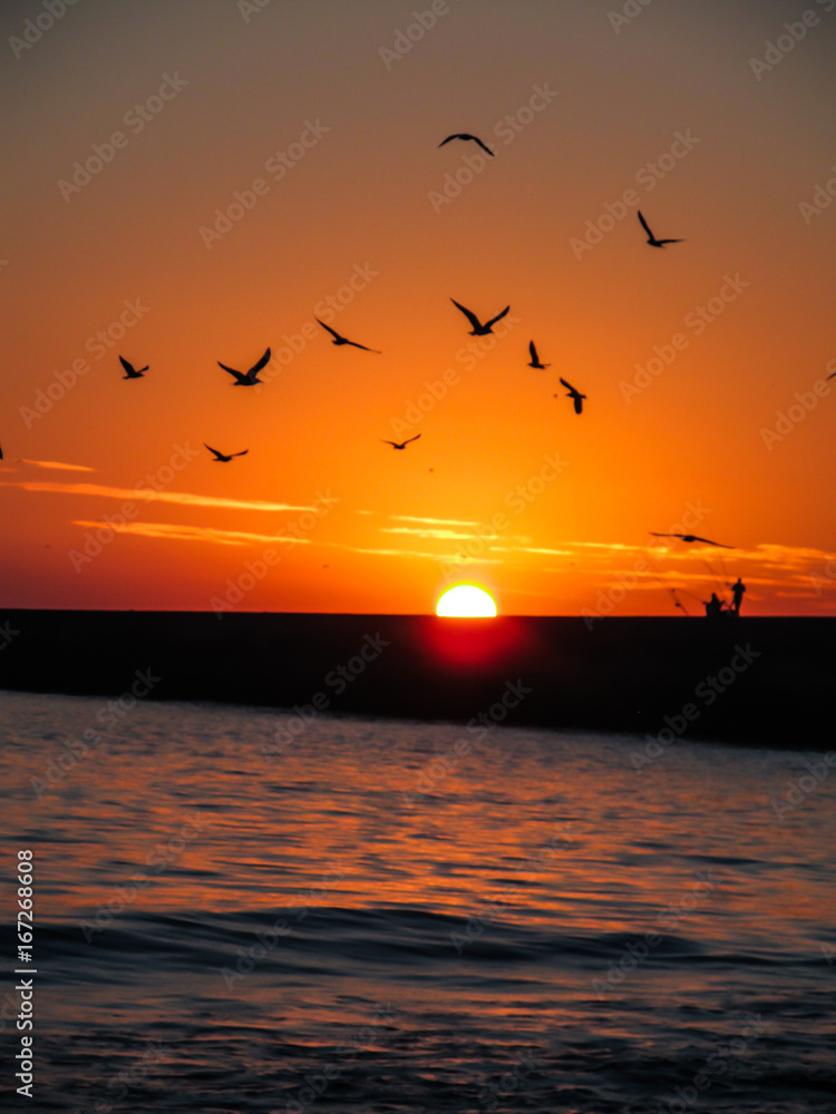 Sunset reflecting on water at the beach - birds silhouettes and a  lighthouse in the background Stock Photo