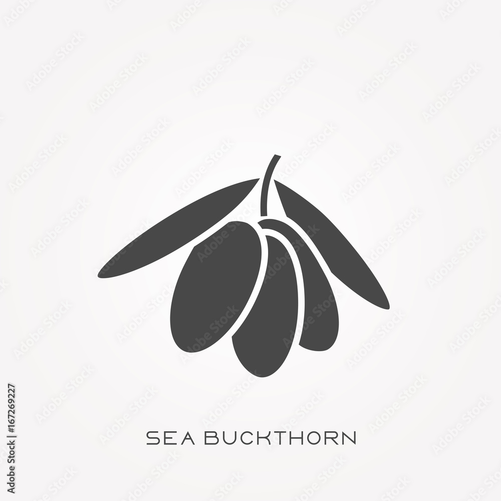 Silhouette icon sea buckthorn Silhouette icon sea buckthorn