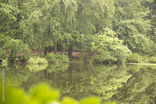 Wald012