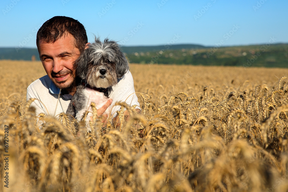 European bearded man hugging his dog in a golden, ripe wheat field. Natural light. Space for text. Shallow depth of field European bearded man hugging his dog in a golden, ripe wheat field. Natural light. Space for text. Shallow depth of field