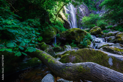 Trunk under the stream and the waterfall photo