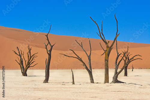 Namibia namib desert deadvlei