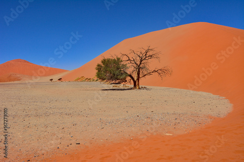 Namibia namib desert Sossusvlei