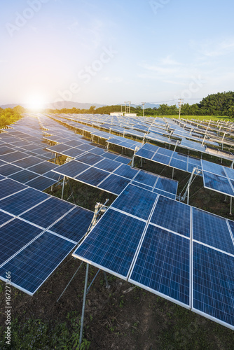 Solar panels (solar cell) in solar farm with sun lighting to create the clean electric power