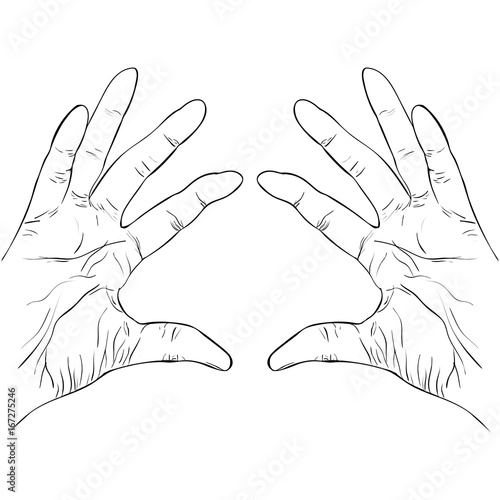 ink sketch two hands holding something vector