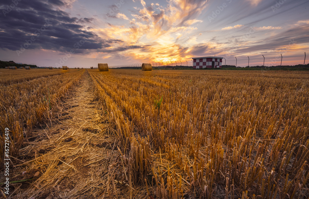 Fototapeta premium Strohrollen am Rollfeld bei Sonnenuntergang